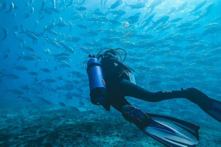 a person swimming in the water