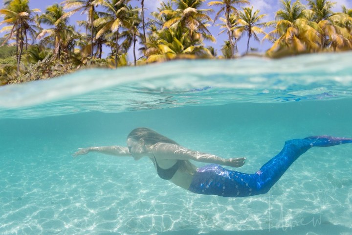 a person swimming in a body of water