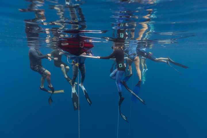 South Florida Freedive Fest