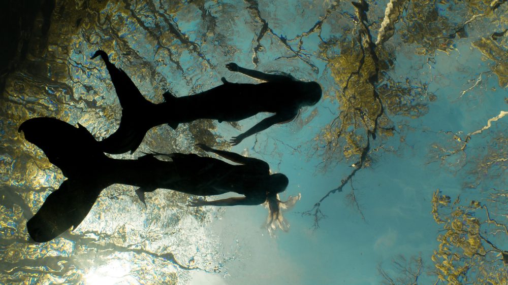 Silhouettes of two mermaids swimming underwater with light reflecting on the surface above.