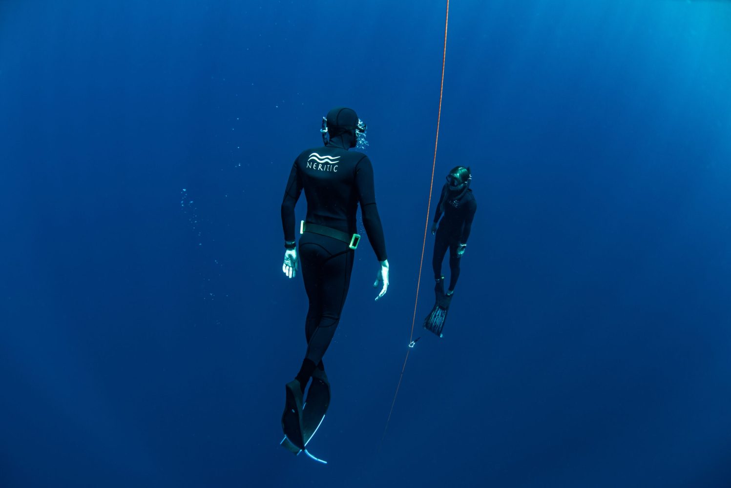 open water free dive training