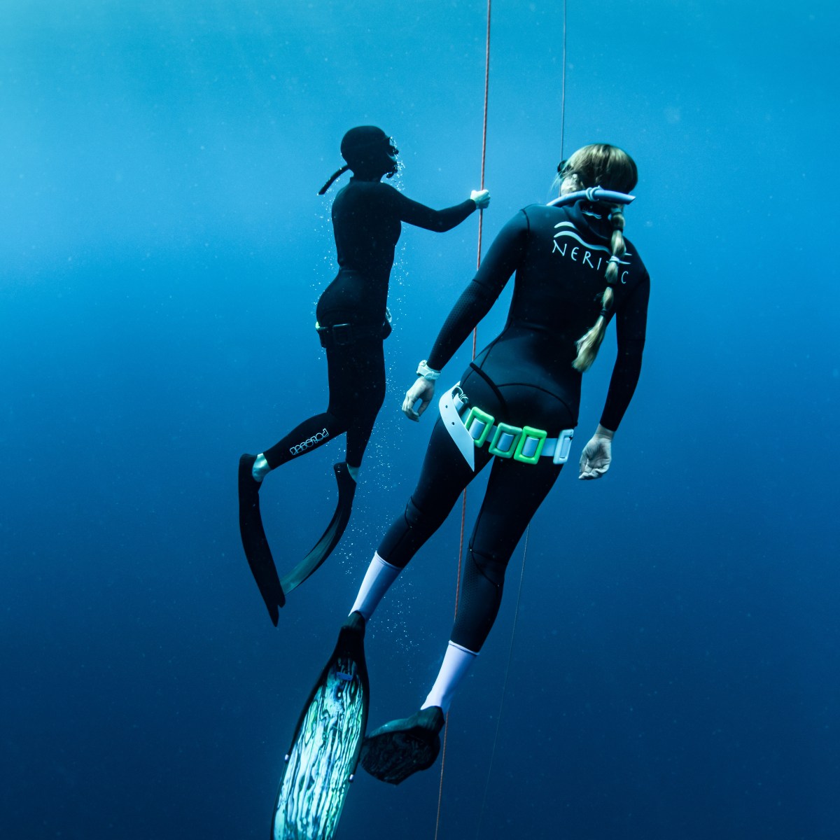 Two divers with fins underwater holding a line, viewed from behind.