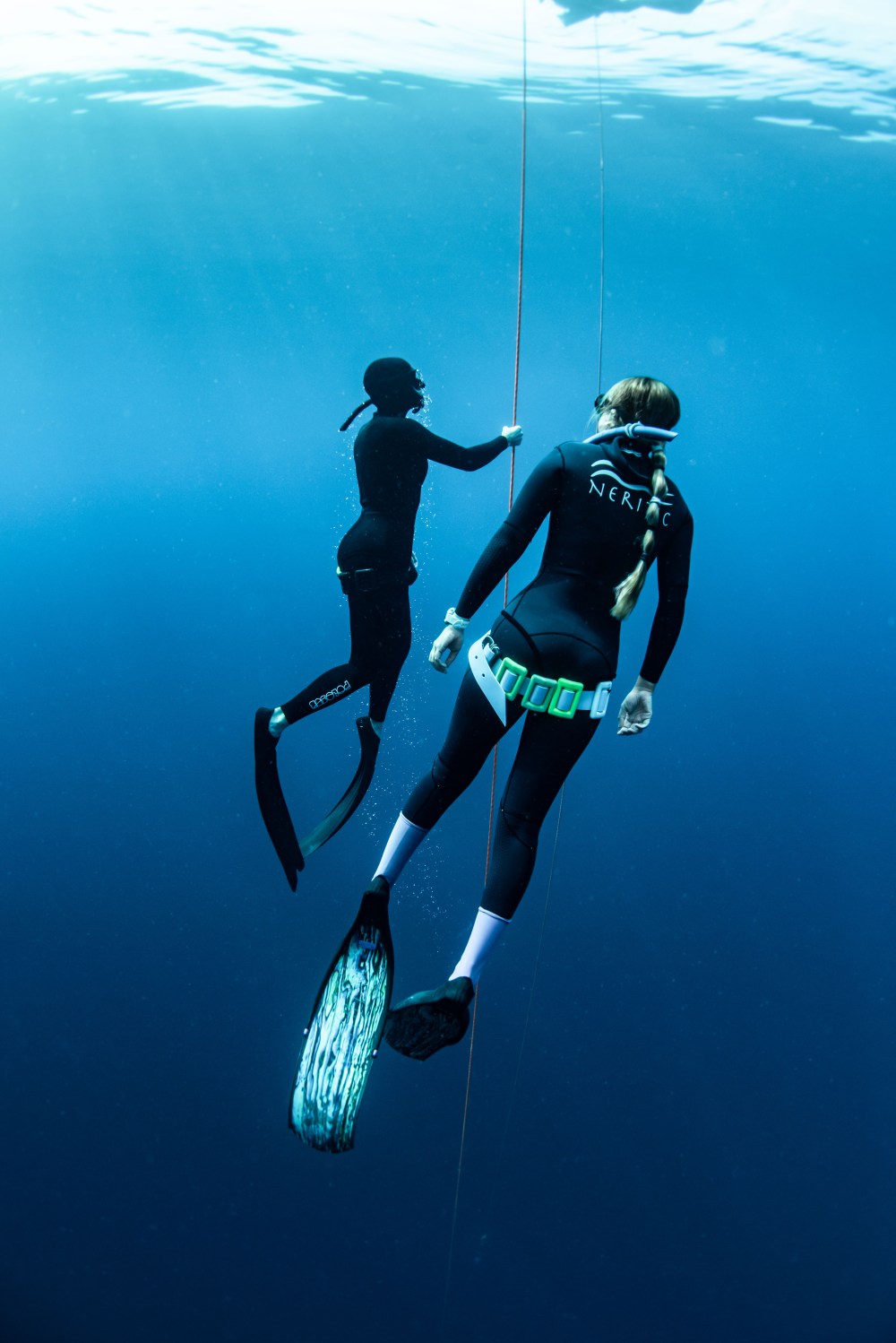Two divers with fins underwater holding a line, viewed from behind.