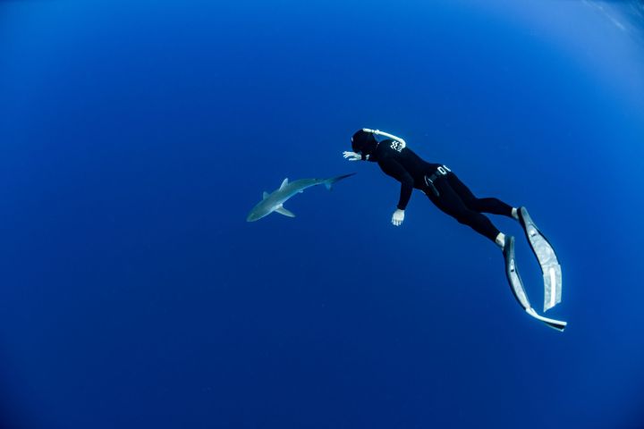 Diver in wetsuit swimming near a shark in deep blue ocean.