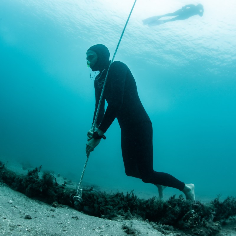 Diver in wetsuit holding a rope underwater near the ocean floor.