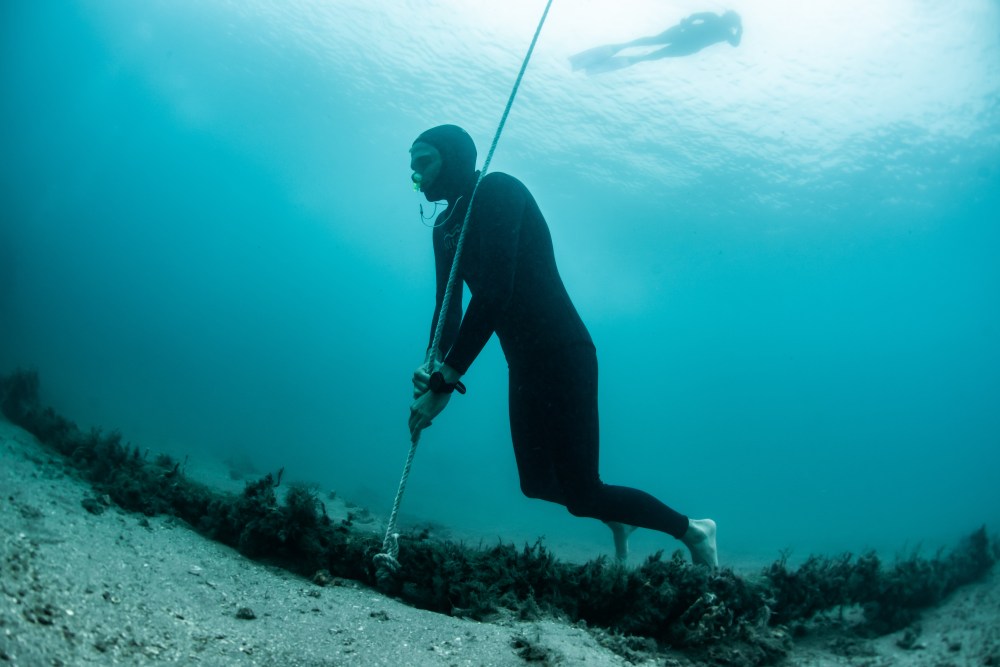 Diver in wetsuit holding a rope underwater near the ocean floor.