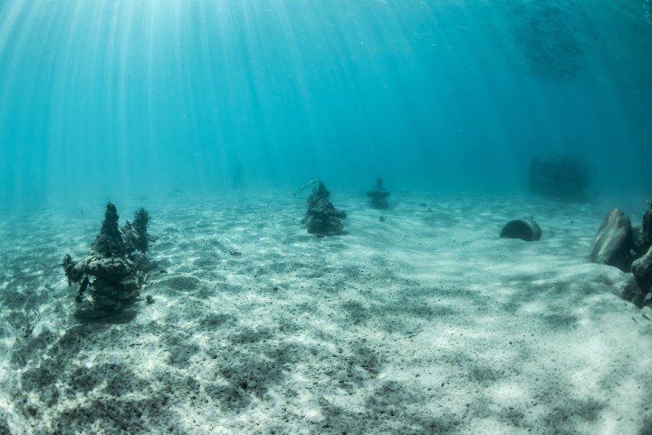 a group of people in the water