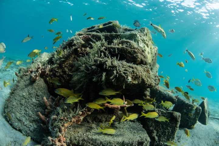 underwater view of a swimming pool