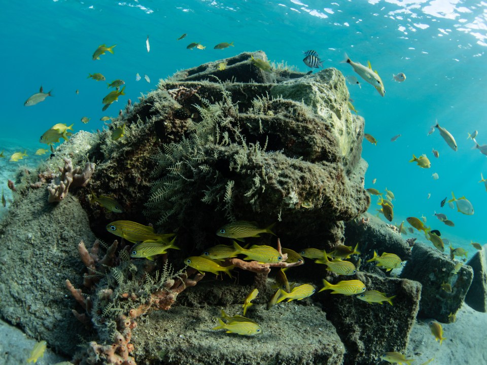 underwater view of a swimming pool