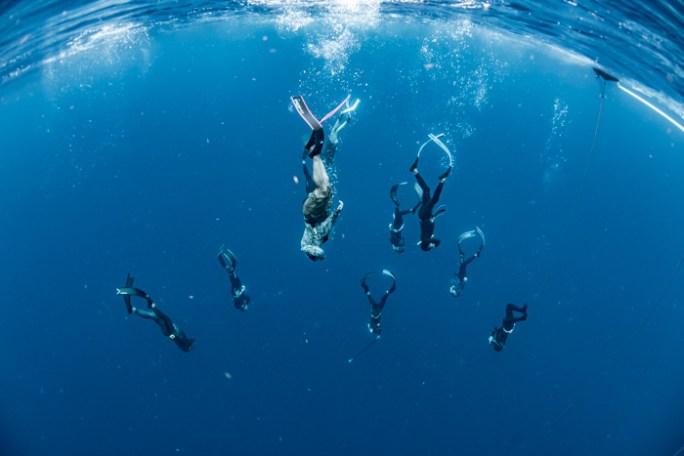 South Florida Freedive Fest