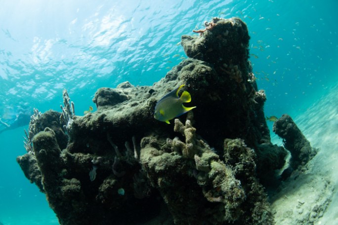 underwater view of a large rock