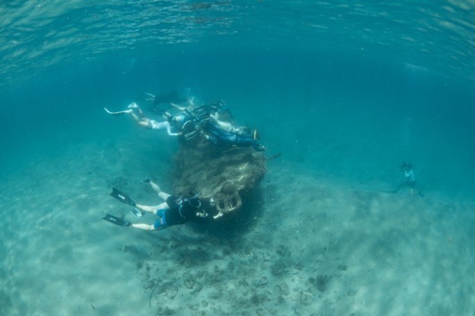 South Florida Freedive Fest