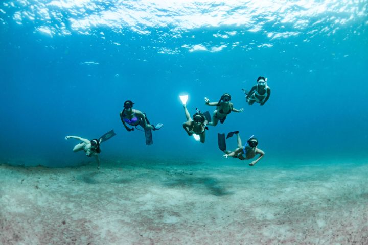 Five people snorkeling underwater over sandy ocean floor.