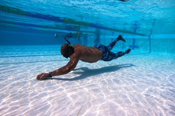 a dog swimming in a pool of water