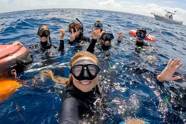 a group of people swimming in the water