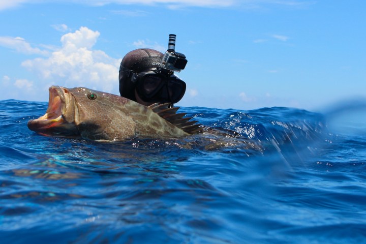 a person swimming in a body of water