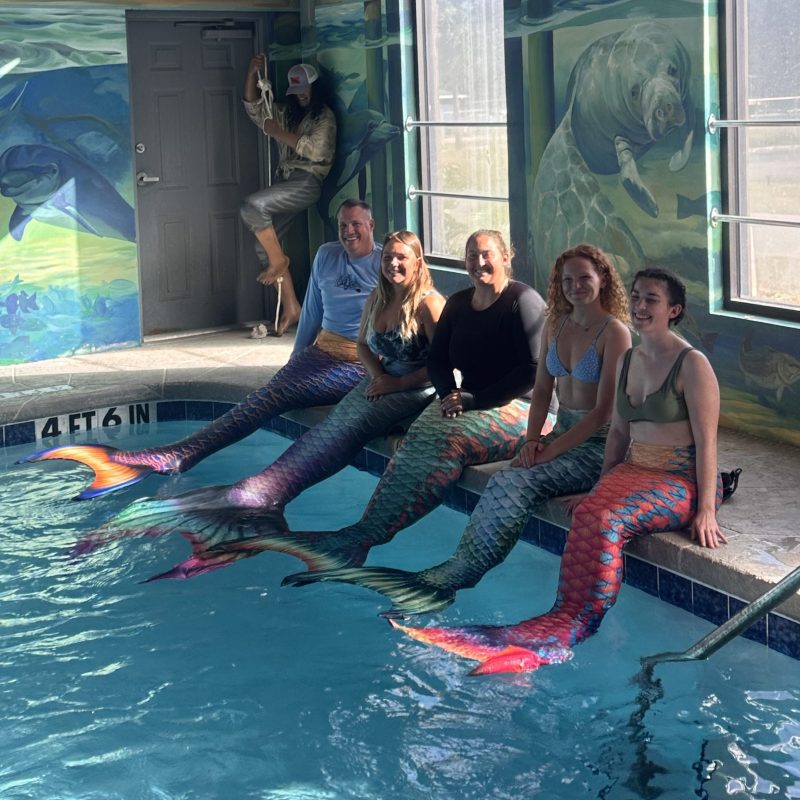 Five people in mermaid costumes sit on pool edge indoors, with a muraled wall and ceiling.