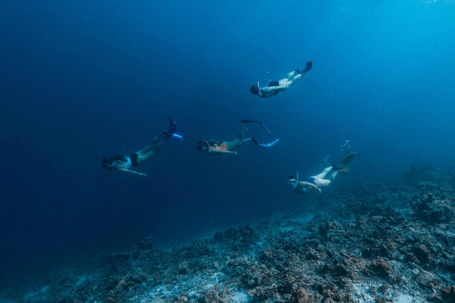 Four people free diving underwater over a coral reef.