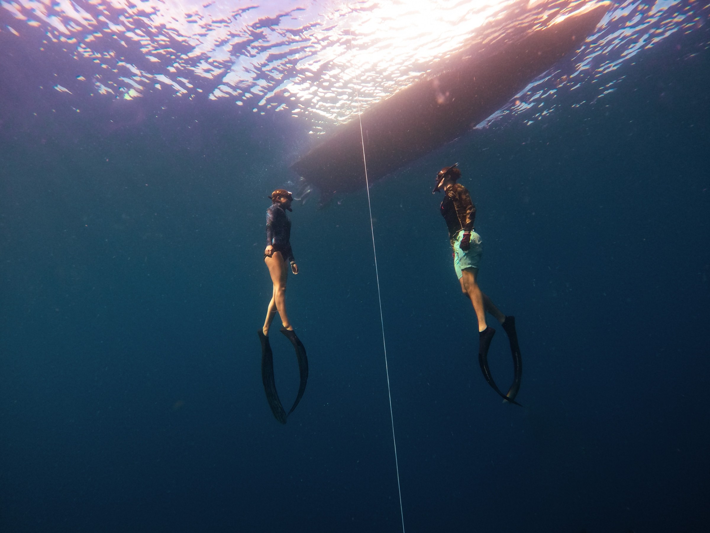 a group of people swimming in the water