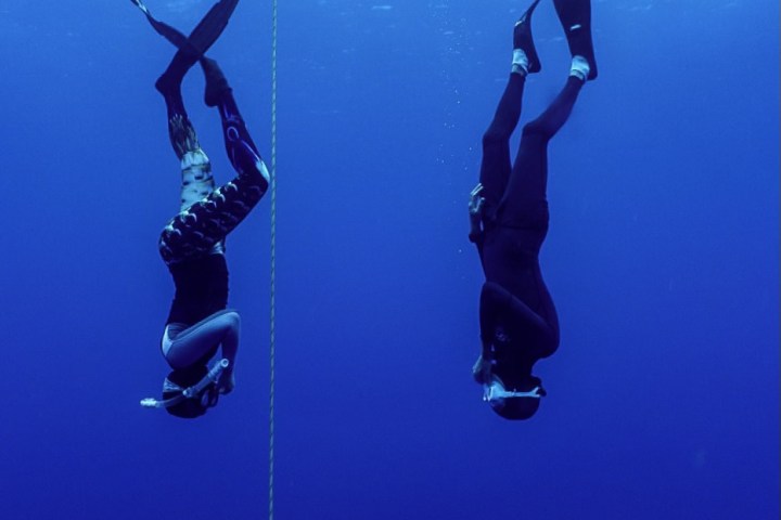 a group of people swimming in the water