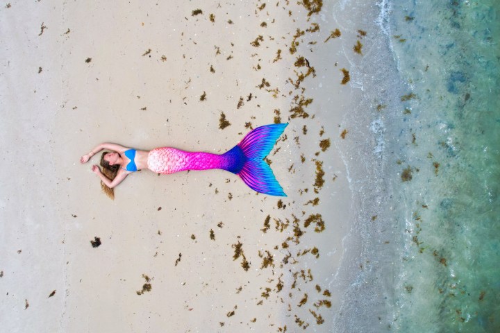 a bird flying over a beach