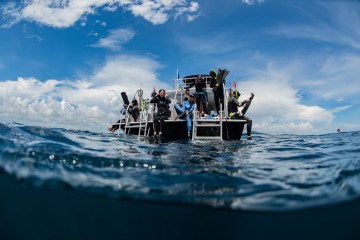 a group of people riding on the back of a boat in the water