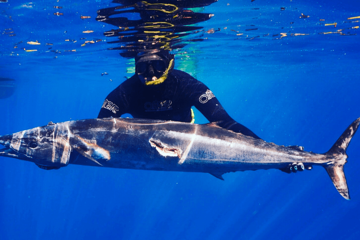 a man flying through the air while swimming in a pool of water