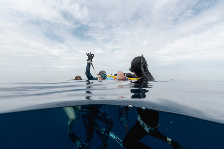 South Florida Freedive Fest