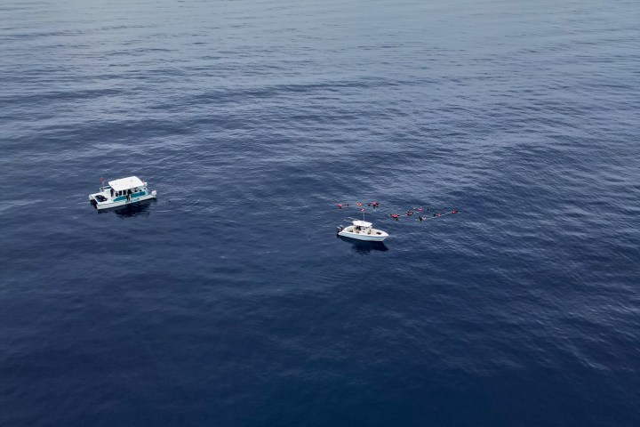 South Florida Freedive Fest