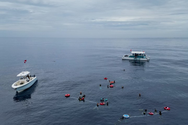 South Florida Freedive Fest