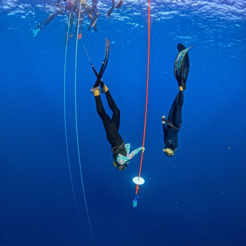 a group of people swimming in the water