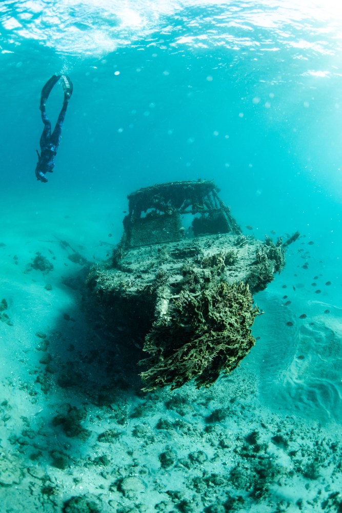 Diver swims above a coral-covered shipwreck at the bottom of the ocean.