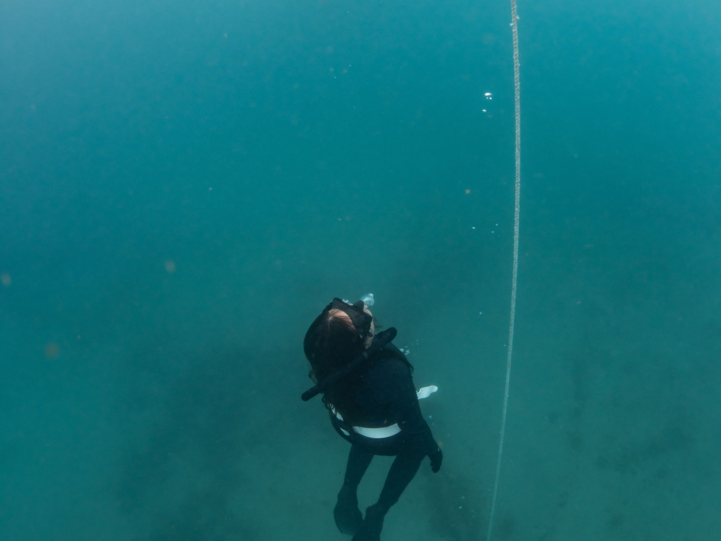 Diver in wetsuit underwater near surface, holding a line, with equipment dangling from the surface above.