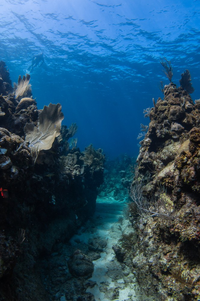 underwater view of a mountain