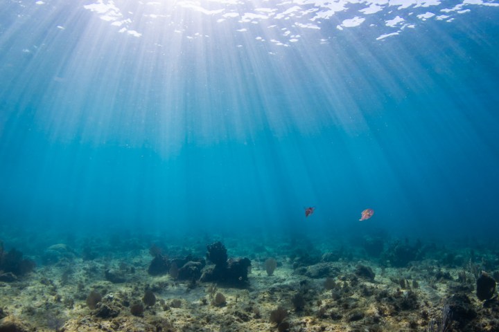 water next to the ocean