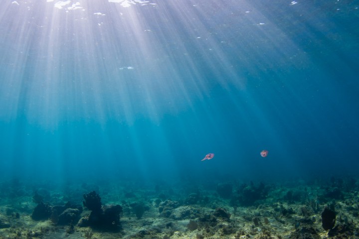 water next to the ocean