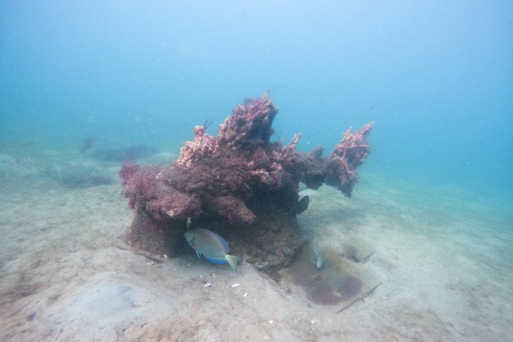a person in a swimming pool