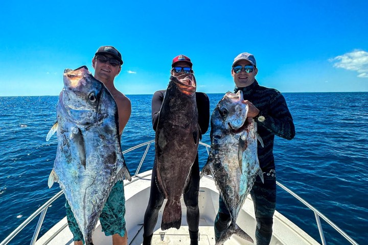 a group of people standing in front of a fish