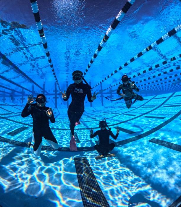 Job Opportunities Live Free Diving