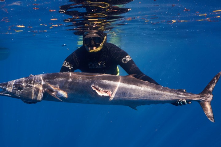 a man swimming in a body of water