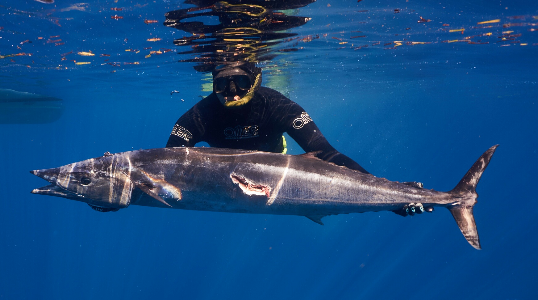 Florida Keys Spearfishing Retreat - IMG 1264 