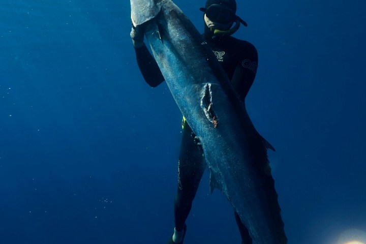 a man that is standing in the water