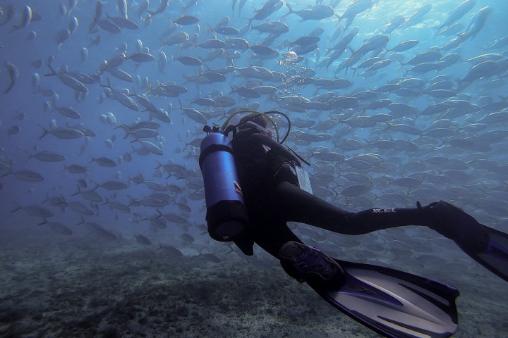 a person swimming in water