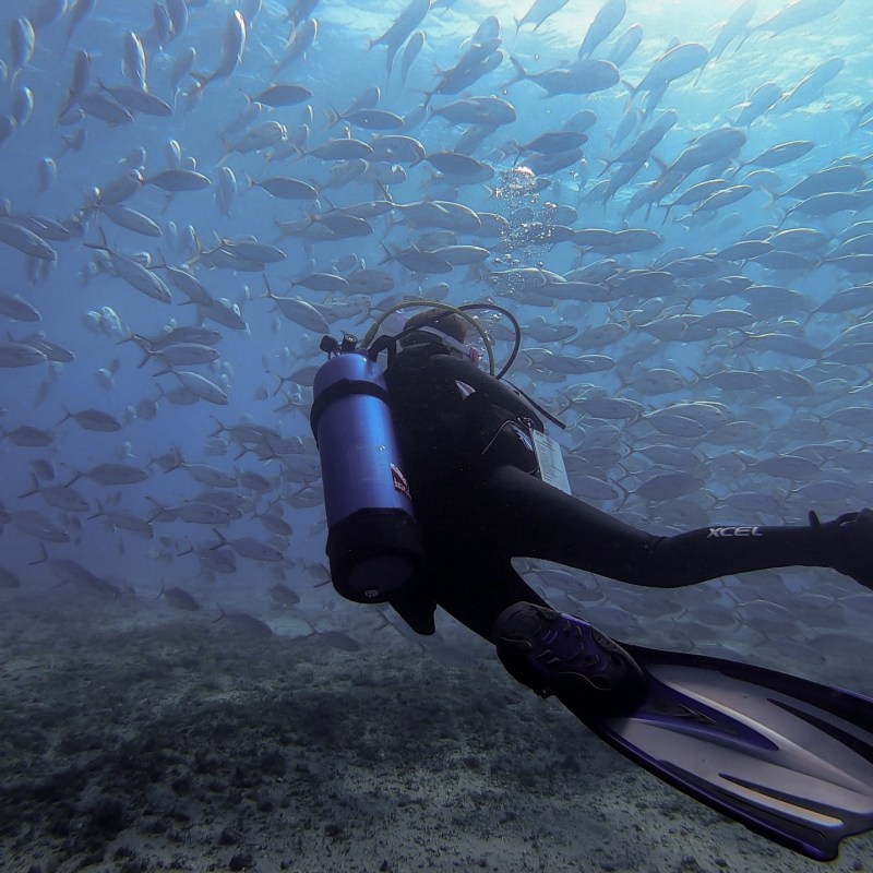 a person swimming in water