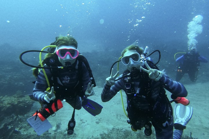 a group of people swimming in the water