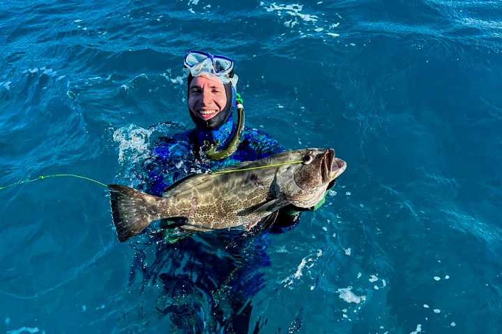 a dog swimming in a body of water