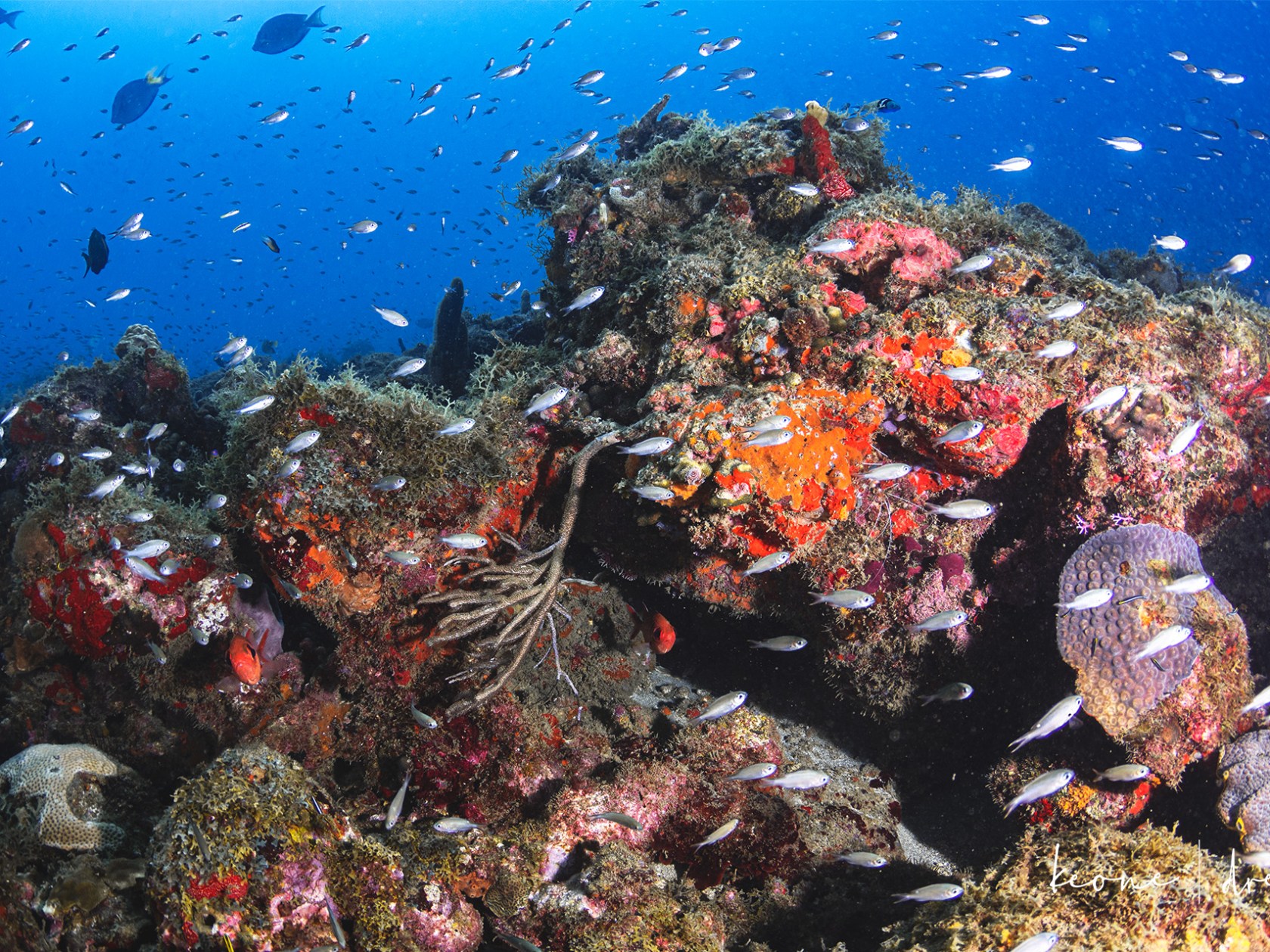 underwater view of a large rock