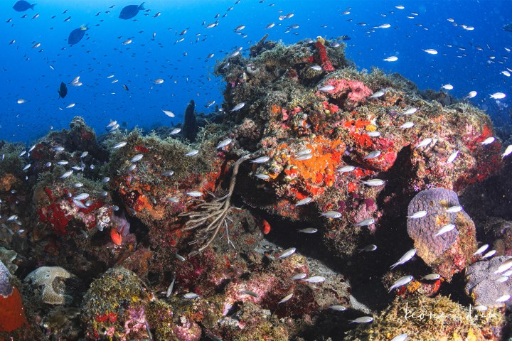 underwater view of a large rock