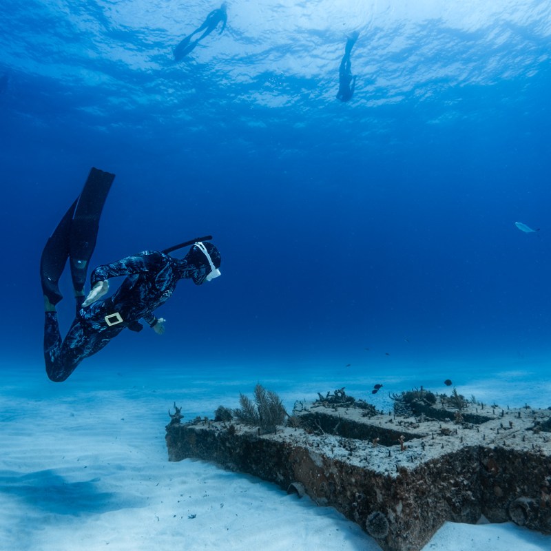 freediving barbados