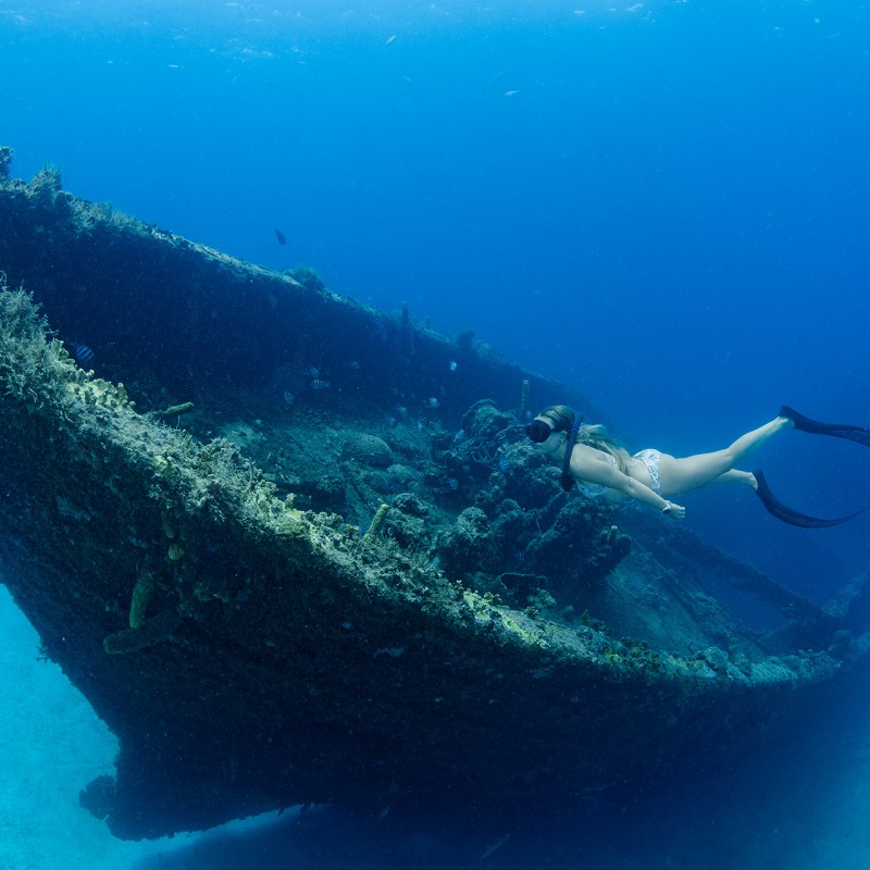 freediving barbados
